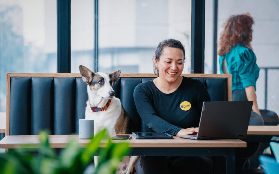 Oficinas pet-friendly: ¿Qué son y qué ventajas tienen?