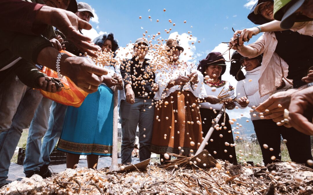 Tinku Uku Pacha: The Assembly That Will Regenerate Soil and the Future