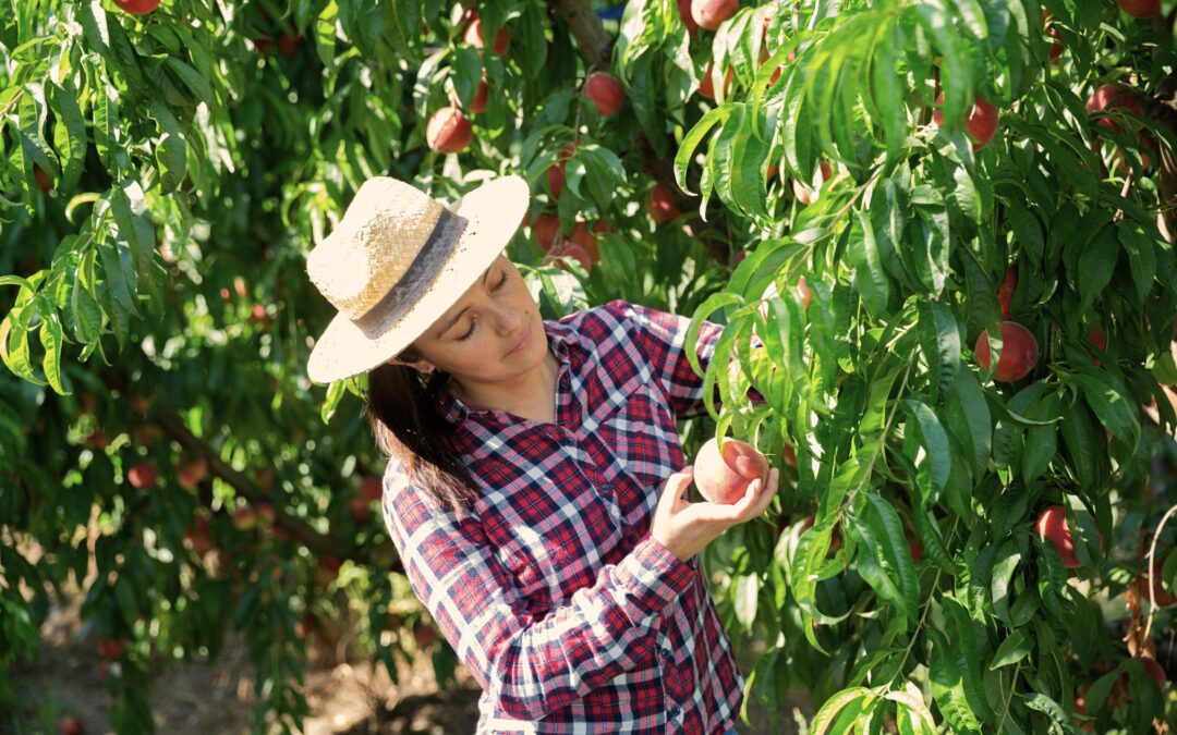 We Launch ReGenera by IMPAQTO: A New Program for Women Transforming Communities