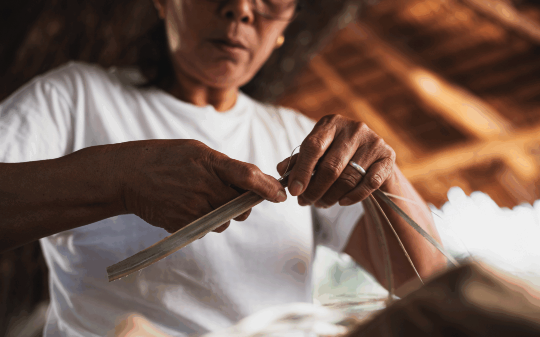 New Partnership Between IMPAQTO, USFQ, and COCOA to Empower ReGenera Entrepreneurs