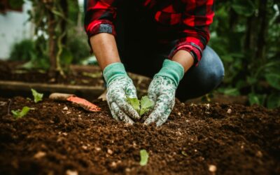 ReGenera by IMPAQTO: 6 meses tejiendo un movimiento regenerativo en Ecuador