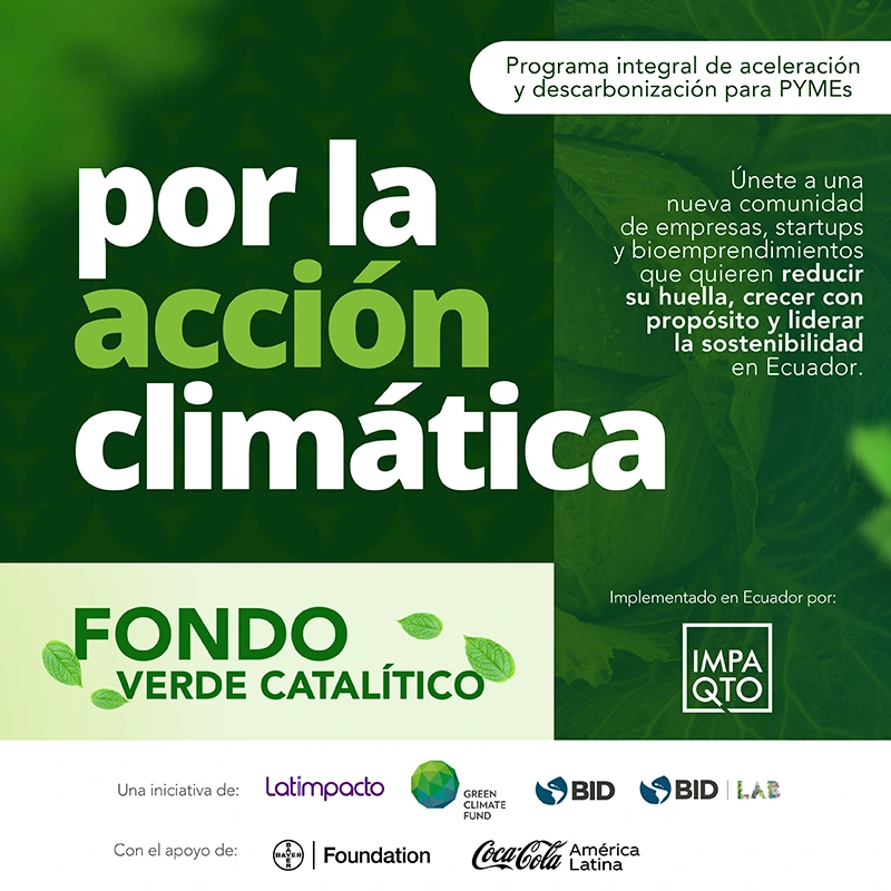 Fondo Verde Catalítico - Impaqto